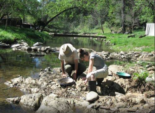 Two people are panning for gold in a shallow stream, surrounded by rocks and greenery on a sunny day.