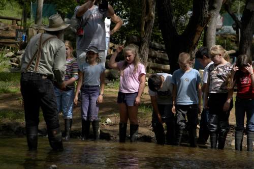 A group of children in rubber boots watches a guide by a stream, engaged in a nature activity.