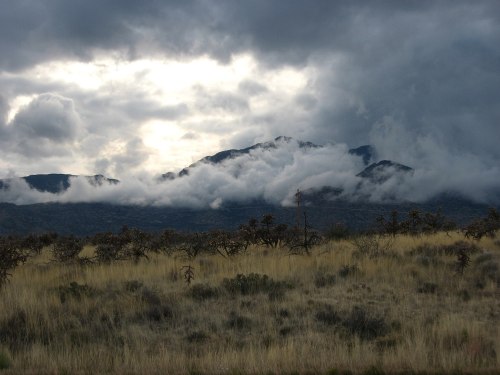 A dramatic landscape featuring mountains shrouded in clouds, with grassy fields and sparse vegetation in the foreground.