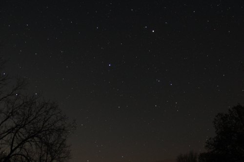 A night sky filled with stars, with a silhouette of bare trees in the foreground.