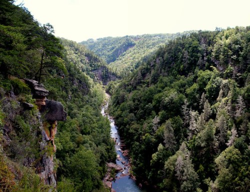 A scenic view of a lush green valley with a winding river surrounded by steep cliffs and dense trees.