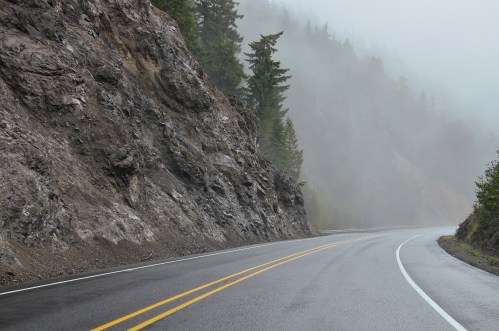 A winding road curves alongside a rocky cliff, shrouded in mist and surrounded by tall evergreen trees.