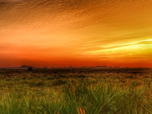 A vibrant sunset casts orange and yellow hues over a grassy field, with a soft horizon in the background.