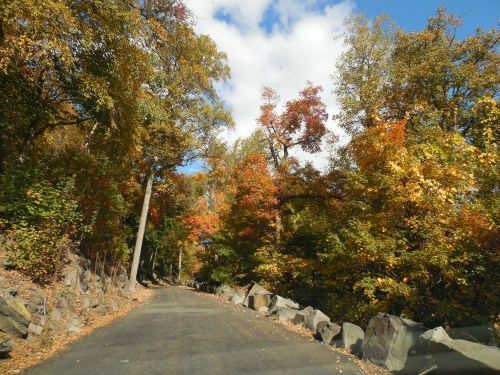A scenic road lined with colorful autumn trees under a blue sky with fluffy clouds.