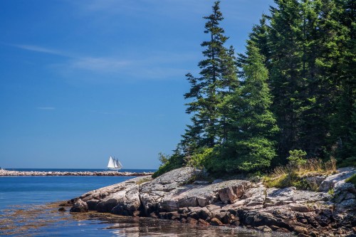 A serene coastal scene with rocky shores, lush trees, and a sailboat in the distance under a clear blue sky.