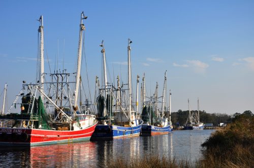 Colorful fishing boats lined up along a calm waterway under a clear blue sky.