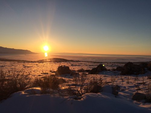 A serene winter landscape at sunrise, with snow-covered ground and a glowing sun rising over a calm body of water.