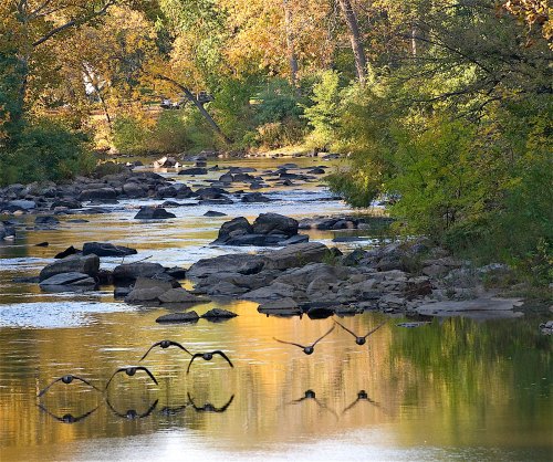 A serene river scene with colorful autumn trees, rocks, and birds flying over the water, reflecting in the calm surface.