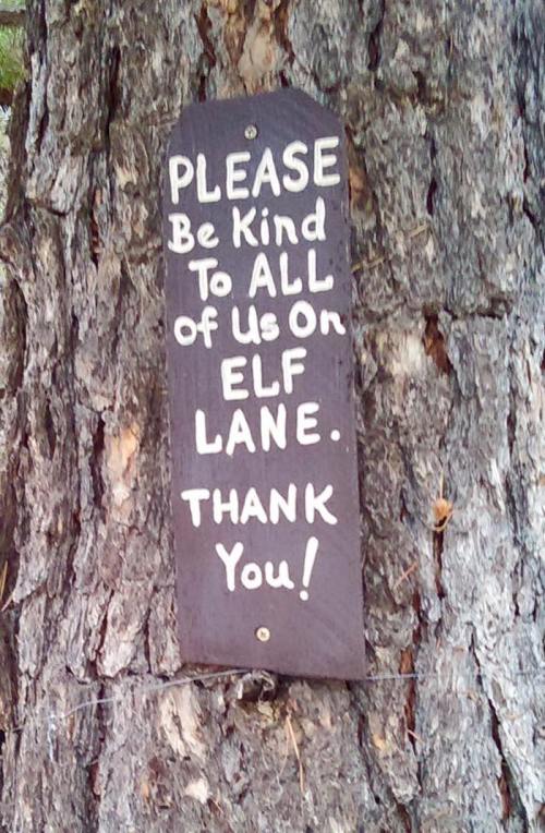 A wooden sign on a tree reads, "Please be kind to all of us on Elf Lane. Thank you!"