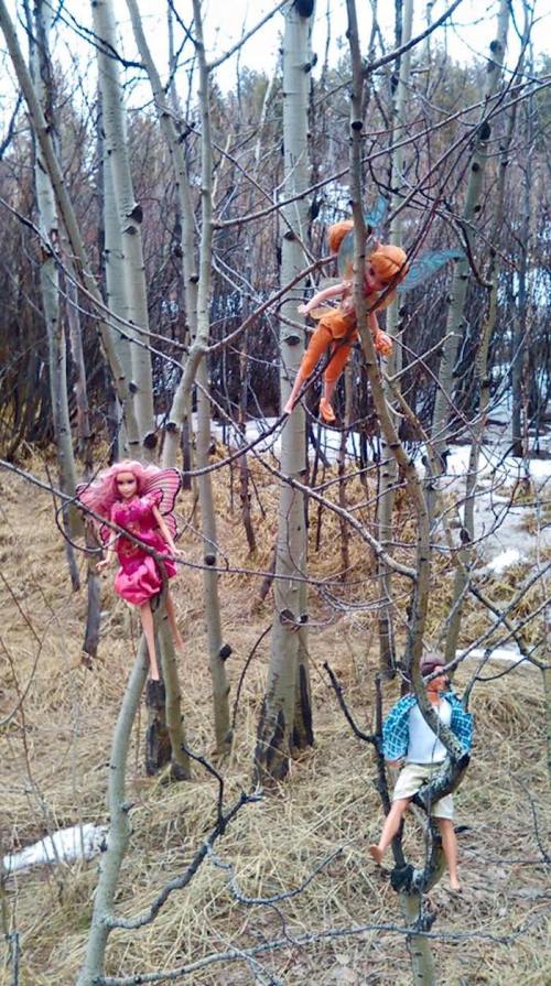 Three dolls hanging from tree branches in a forested area, surrounded by bare trees and sparse grass.