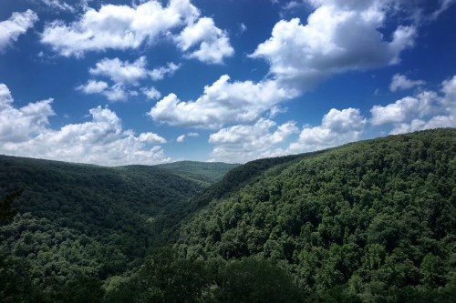 Lush green hills under a bright blue sky with fluffy white clouds, creating a serene natural landscape.