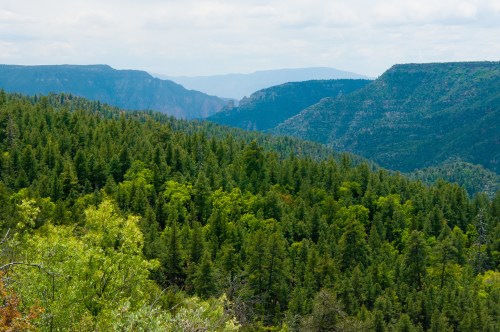 Lush green forested mountains with distant cliffs under a cloudy sky.