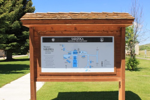 Sign at Saratoga National Fish Hatchery displaying a map and information about the facility. Green grass and trees in background.