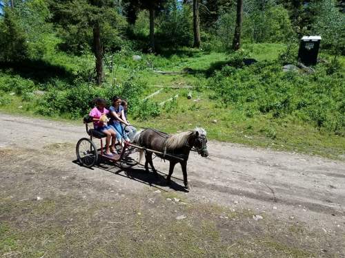 Two children ride in a small cart pulled by a pony along a dirt path in a green, wooded area.