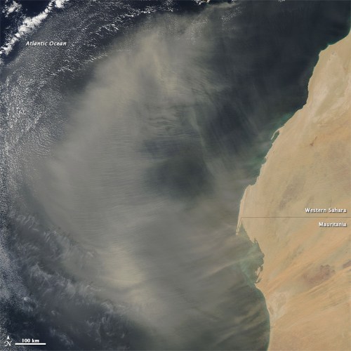 A satellite image showing dust clouds over the Atlantic Ocean near the coast of Western Sahara and Mauritania.