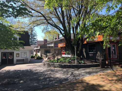 A quaint outdoor area with shops and trees, featuring a stone pathway and vibrant storefronts in a sunny setting.