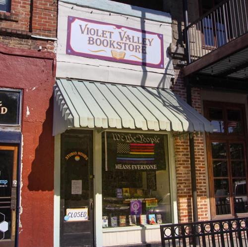 A quaint bookstore with a green awning, featuring a sign that reads "Violet Valley Bookstore" and a welcoming display.