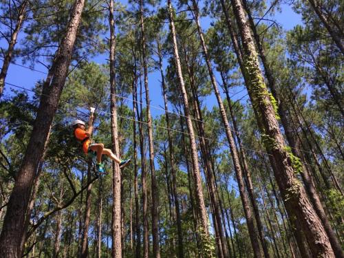 A person in an orange shirt zip-lining through tall trees in a forest on a sunny day.