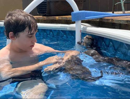 A young person interacts with an otter in a swimming pool, both enjoying the water on a sunny day.