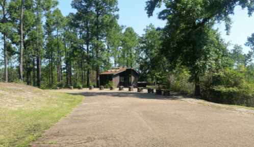 A rustic cabin surrounded by tall trees, with a gravel path leading to it and stone seating arranged nearby.