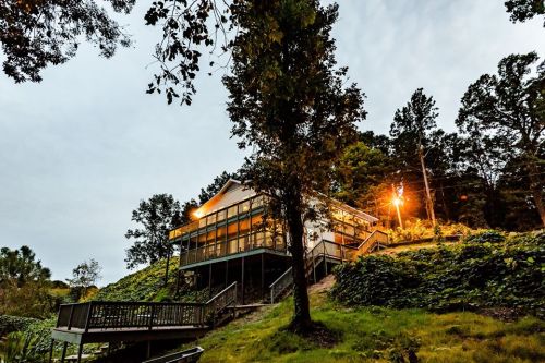 A modern house surrounded by trees and greenery, illuminated by warm lights at dusk.