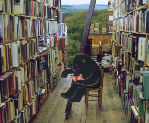 A bear reading a book sits on a tall chair in a cozy library filled with books on wooden shelves.