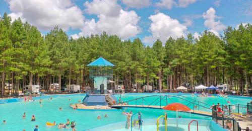 A vibrant outdoor pool surrounded by tall trees, with people swimming and enjoying the sunny day.