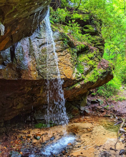 A small waterfall cascades over a rocky ledge into a shallow pool, surrounded by lush green foliage.