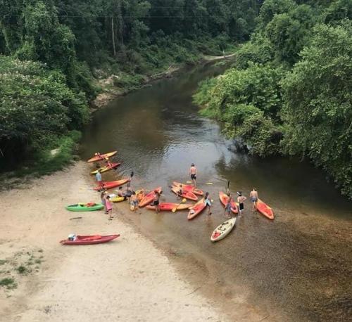 A group of people launching colorful kayaks into a calm river surrounded by lush greenery.