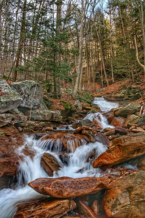 A serene stream flows over rocky terrain, surrounded by trees and autumn leaves in a peaceful forest setting.