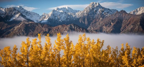 Golden autumn trees in the foreground with snow-capped mountains and a misty valley in the background.