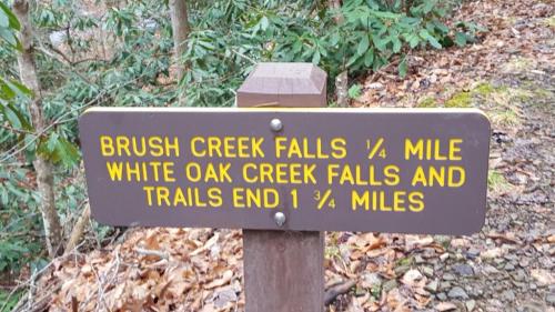 Trail sign indicating directions to Brush Creek Falls (¼ mile) and White Oak Creek Falls (1¾ miles).