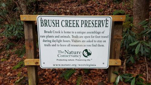 Sign at Brush Creek Preserve highlighting its unique plants and animals, with guidelines for visitors on trail use.