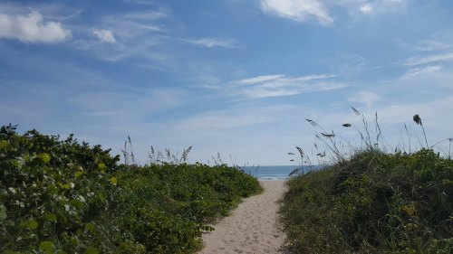 A sandy path leads to the ocean, framed by lush greenery and a clear blue sky with wispy clouds.
