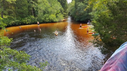 A serene river scene with people kayaking and swimming among lush green trees and calm, dark water.