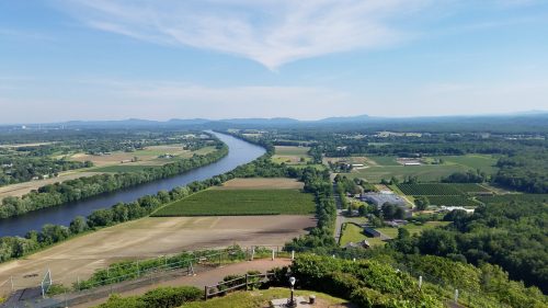 A panoramic view of a river winding through lush green fields and vineyards under a clear blue sky.