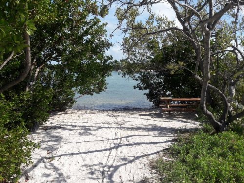 A sandy path leads to a calm water view, framed by lush greenery and a wooden bench nearby.