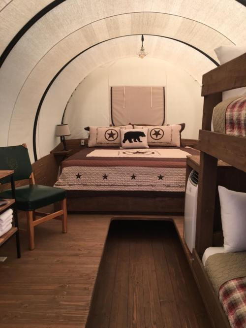 Cozy interior of a glamping tent with a double bed, bunk beds, and rustic decor featuring a bear motif.