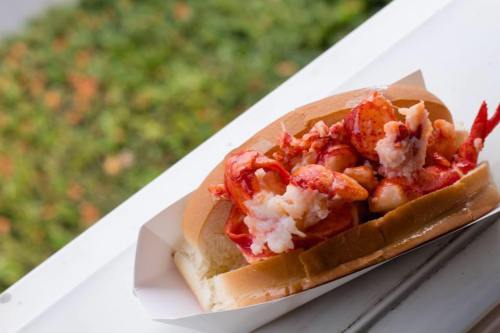 A lobster roll filled with chunks of lobster meat on a soft bun, set against a blurred green background.