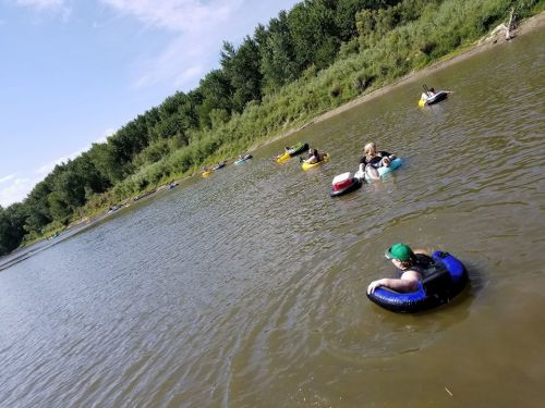 People floating on inner tubes in a calm river, surrounded by greenery and a clear blue sky.