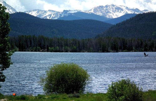 A serene lake surrounded by lush trees and snow-capped mountains under a clear blue sky.