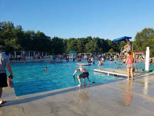 A busy outdoor pool scene with people swimming, lounging, and enjoying the sun on a clear day.