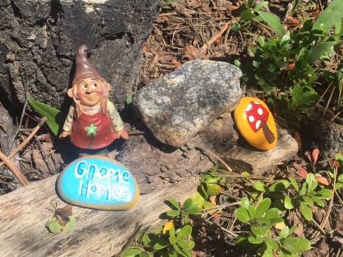 A cheerful gnome figurine next to painted rocks, one reading "Gnome Home" and another featuring a red mushroom design.