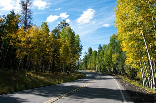 A winding road surrounded by trees with vibrant yellow leaves under a blue sky with scattered clouds.