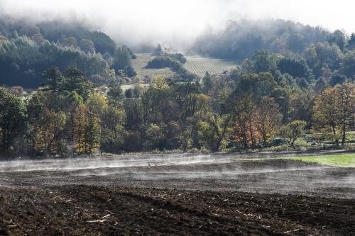A misty landscape with rolling hills, trees in autumn colors, and freshly plowed fields under a cloudy sky.