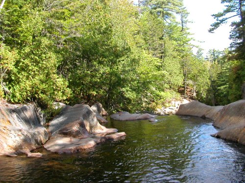 A serene river flows between rocky banks, surrounded by lush green trees under a clear blue sky.