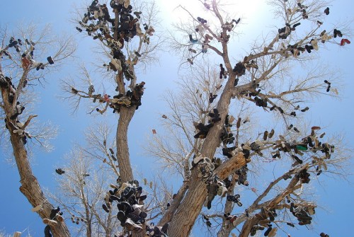 A bare tree with numerous shoes hanging from its branches against a bright blue sky.