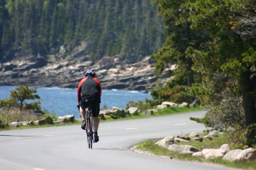 A cyclist rides along a coastal road, surrounded by trees and rocky shoreline under a clear blue sky.