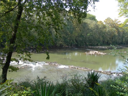 A serene river scene surrounded by lush greenery and trees, with gentle ripples and rocks visible in the water.