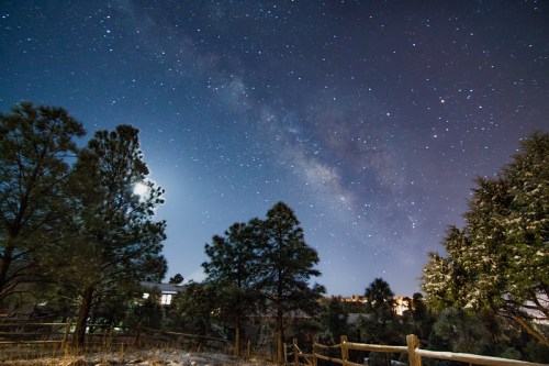 A starry night sky with the Milky Way visible, framed by silhouetted trees and a hint of moonlight.